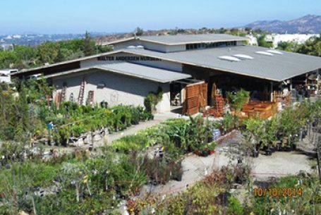 Nursery Building and Grounds