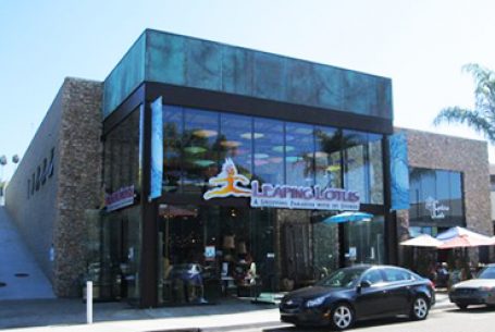 Leaping Lotus Cedros Design District