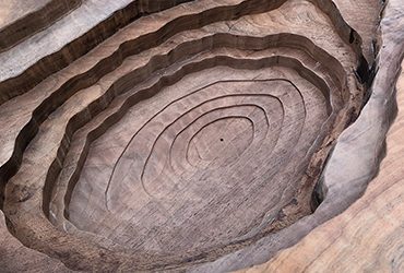 Integrated Wood Walnut Countertop and Sink